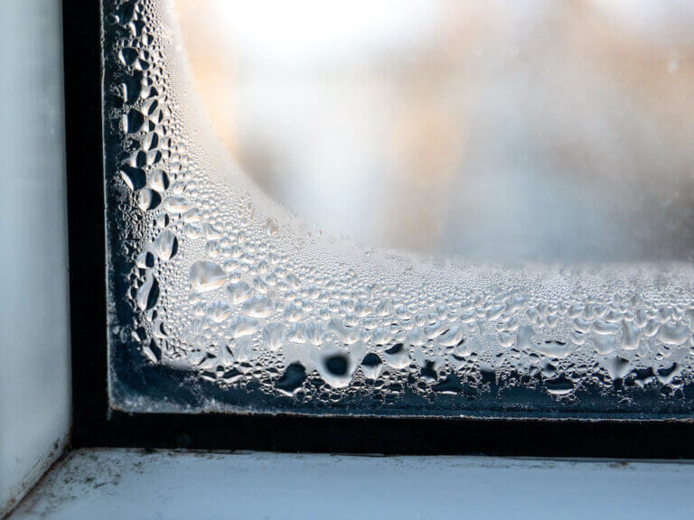 Read more about the article What Humidity Should My House be?